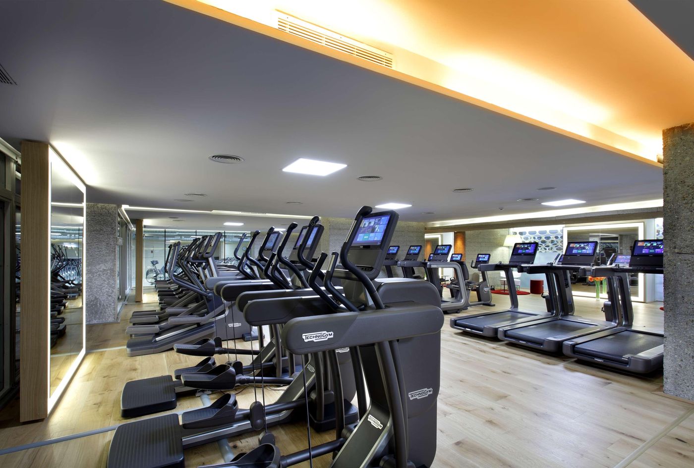 NH-Collection-Madrid-Eurobuilding-Sports-and-Entertainment-90