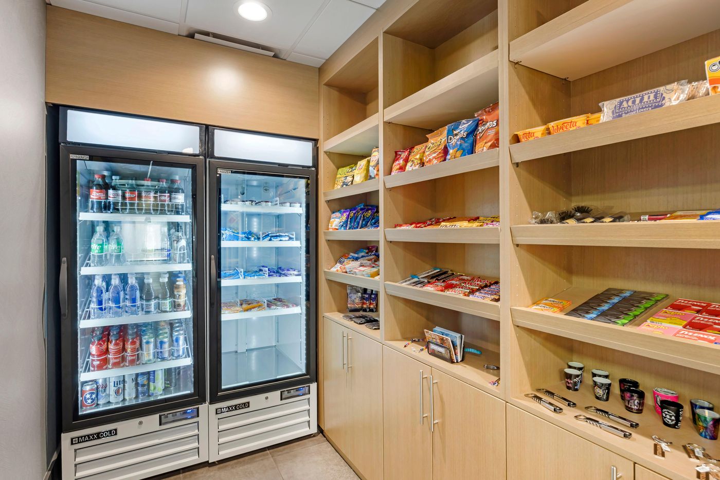 Holiday Inn Express and Suites Nashville Southeast-United States-NASHVILLE-General view-5