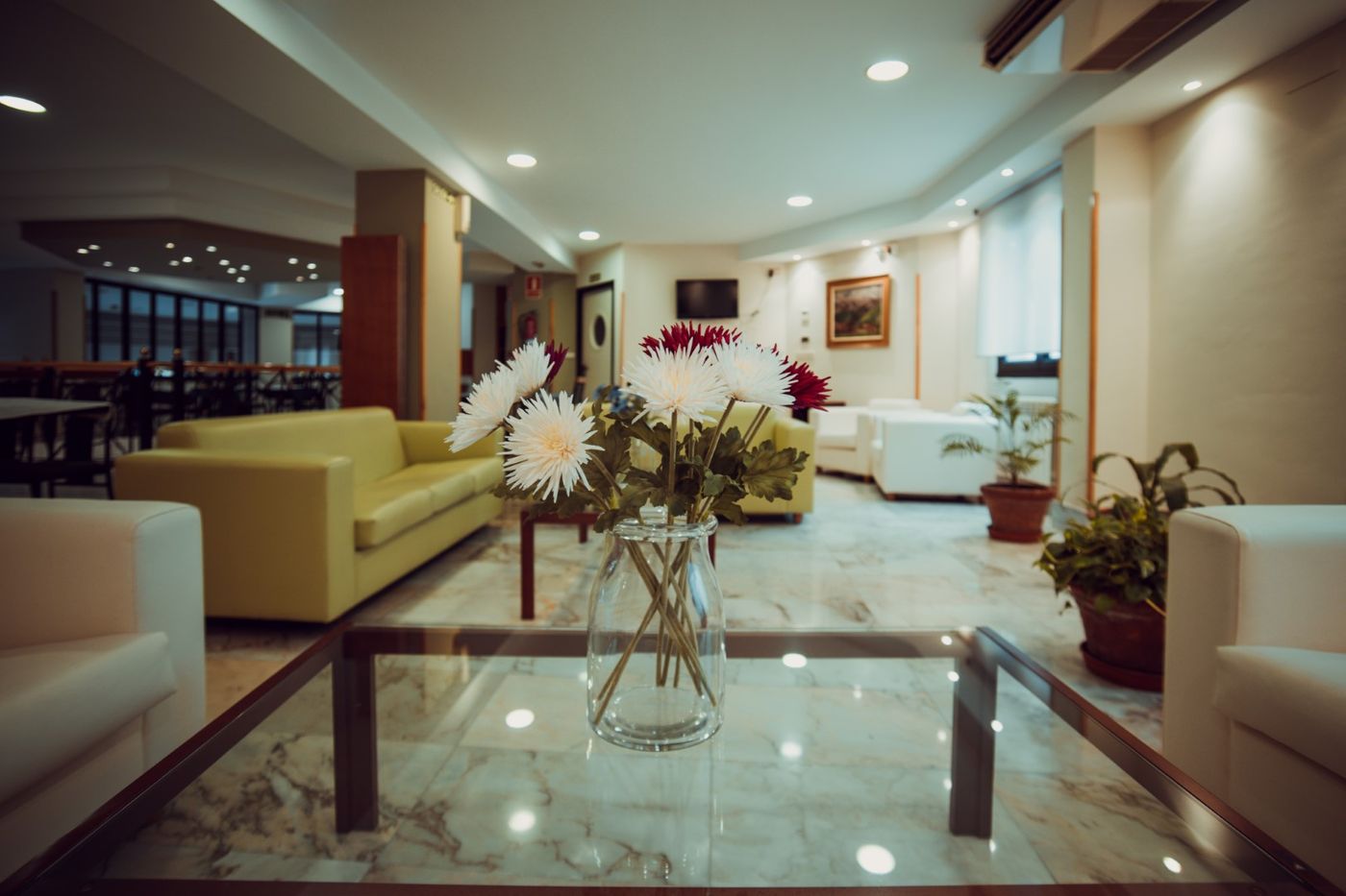 Astures-Spain-OVIEDO-General view-8