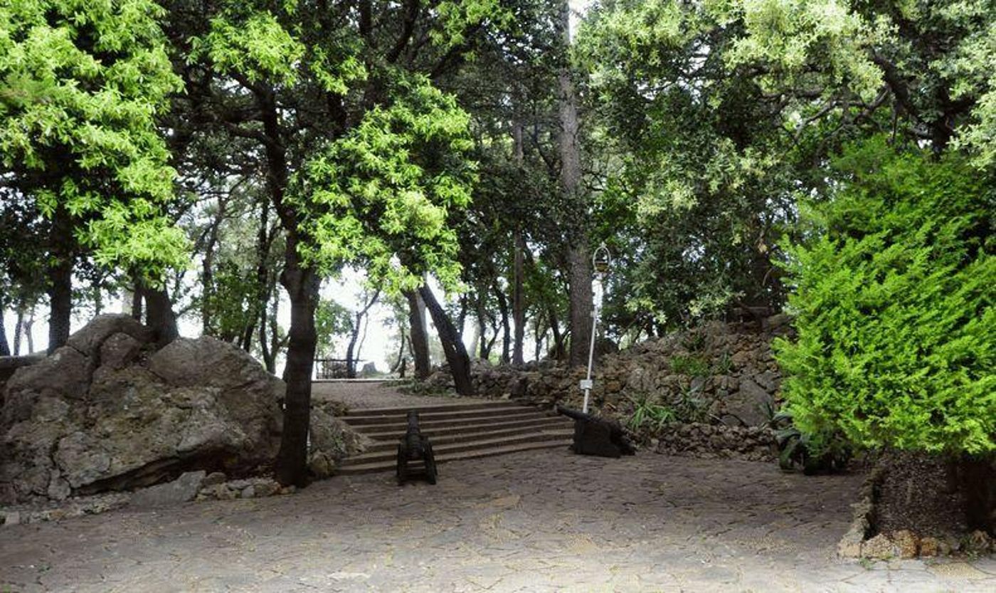 CONTINENTAL VALLDEMOSSA (EX ENCINAR)