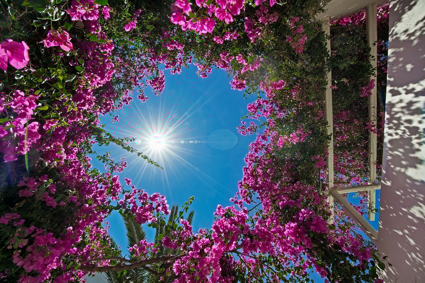 Atlantis-Beach-Villas-General-view-12