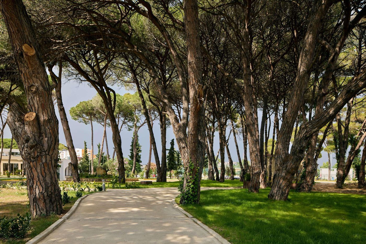 Sol Tropikal Durres-Albania-Durrã«S-General view-9