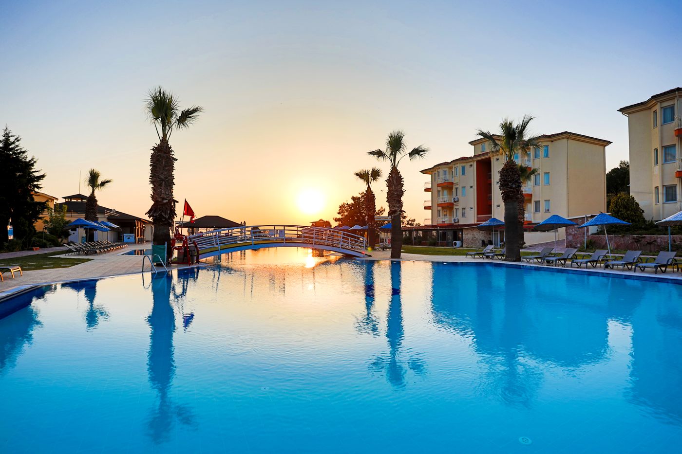 New - Sealight Family Club