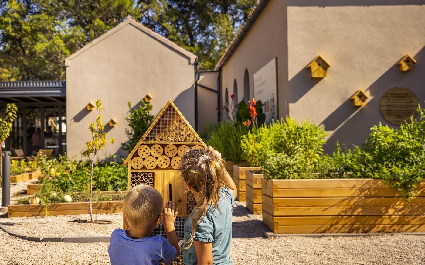 Valamar Amicor Resort 4*-Croatia-Stari Grad-General view-8