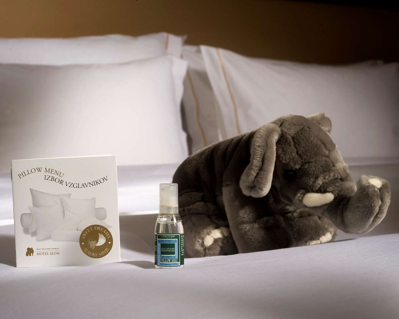 Best Western Premier Hotel Slon-Slovenia-Ljubljana-General view-7