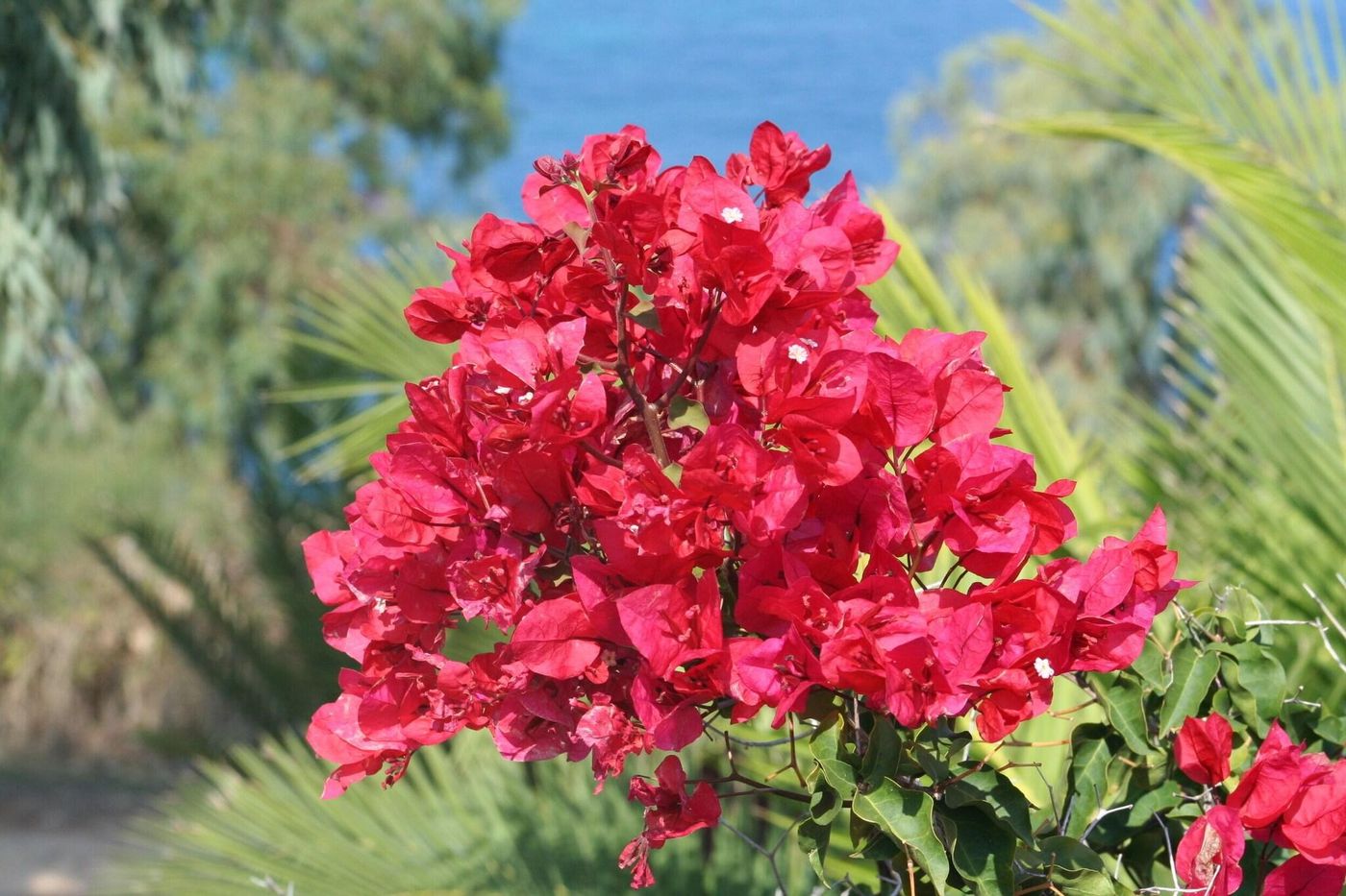 Ariti-Complex-Terrace-17