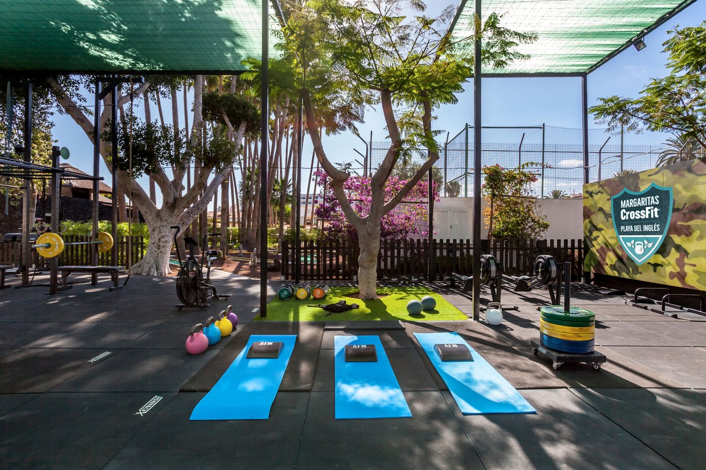 Barcelo Margaritas Royal Level