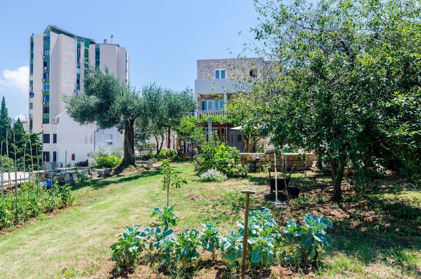 Apartments---Rooms-V-M-Room-8