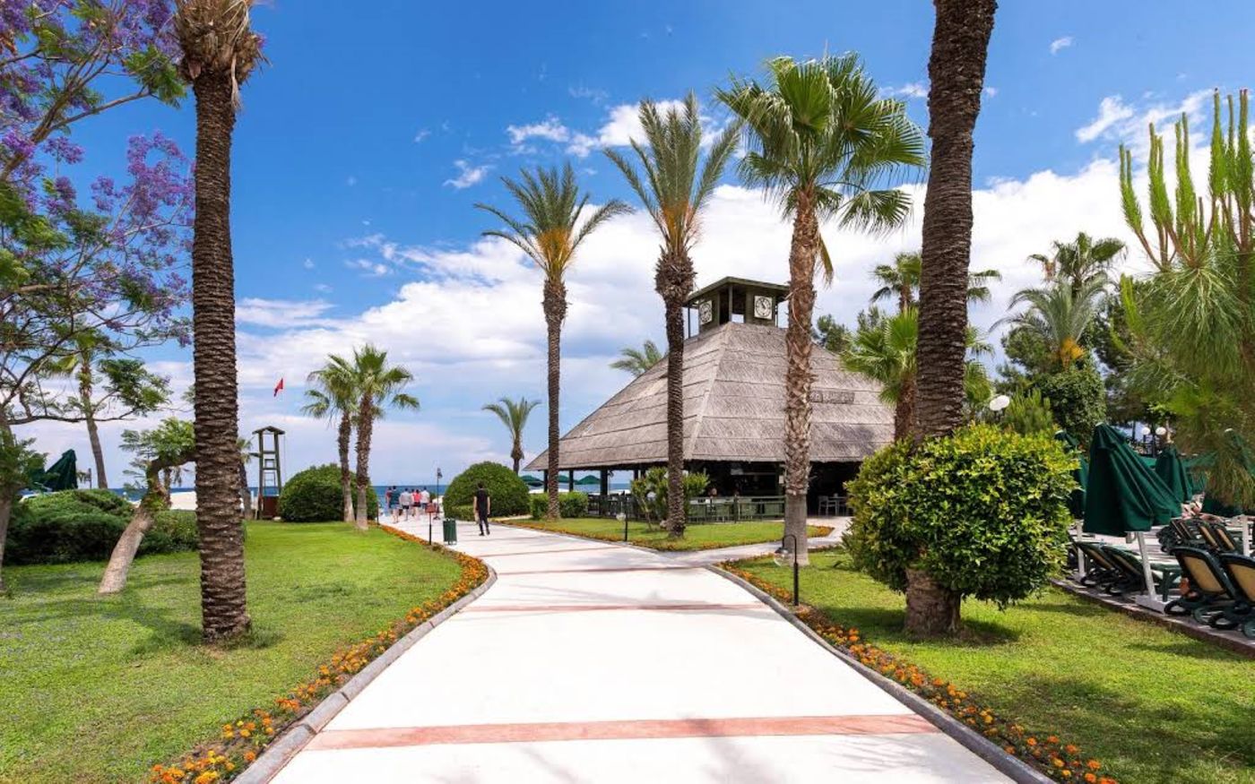 Gypsophila-Club-Marine-General-view-9