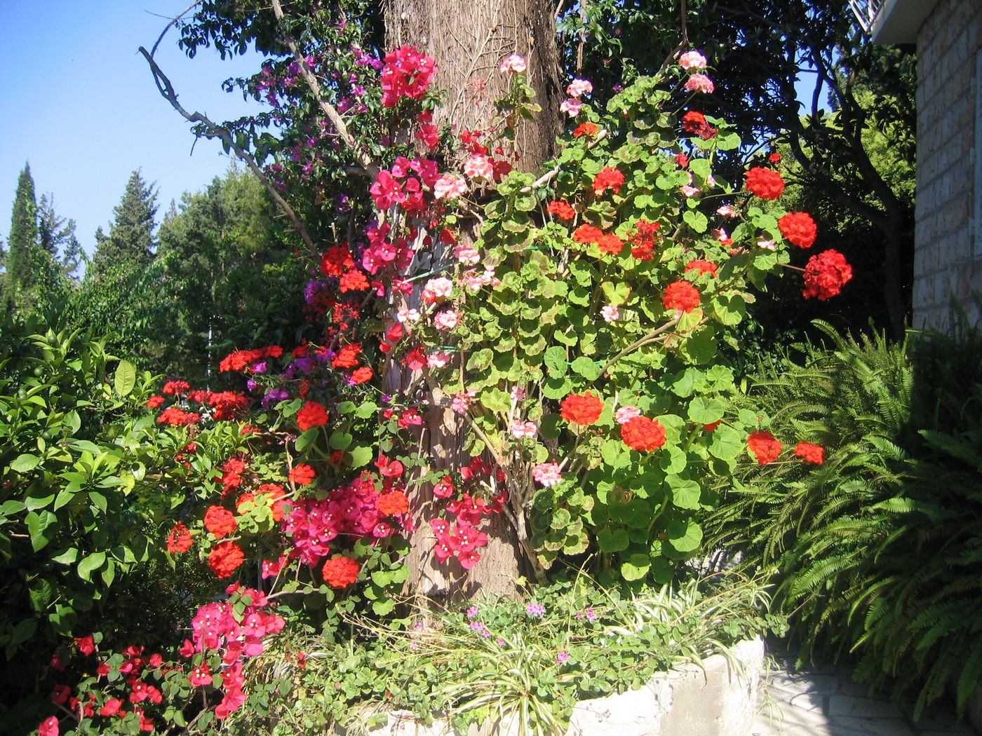 Guest-House-Villa-Nina-Room-16