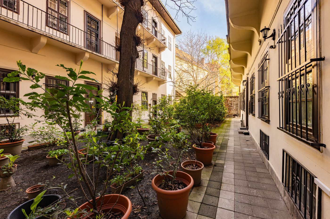 Amber-Gardenview-Studios-General-view-1