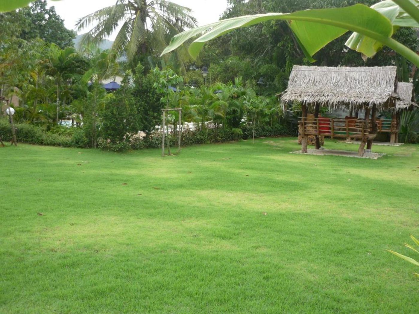 Wild-Orchid-Villa-Krabi-General-view-6