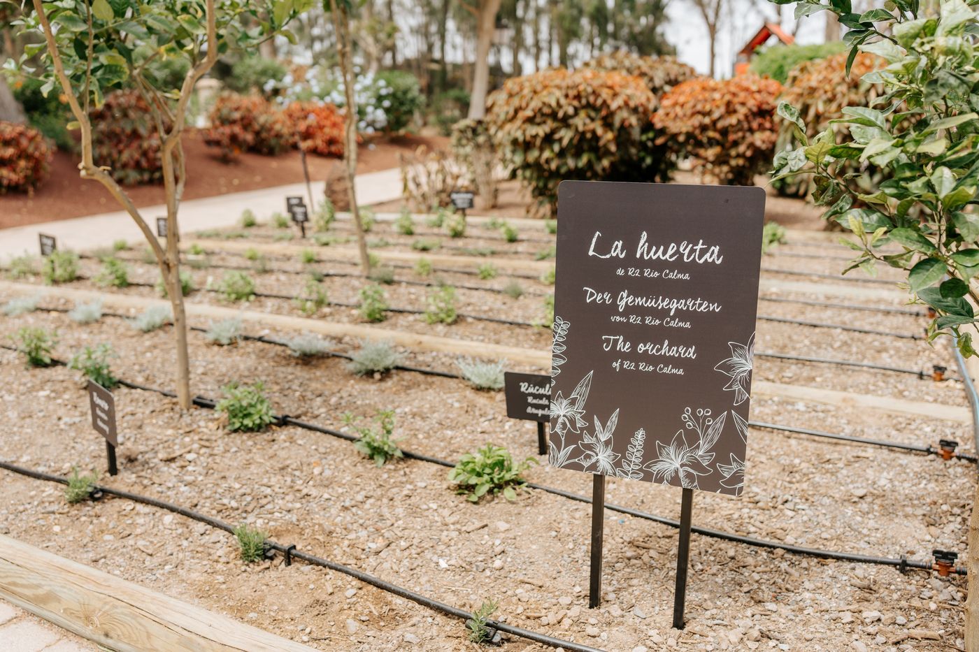 R2-Rio-Calma-Hotel-General-view-55