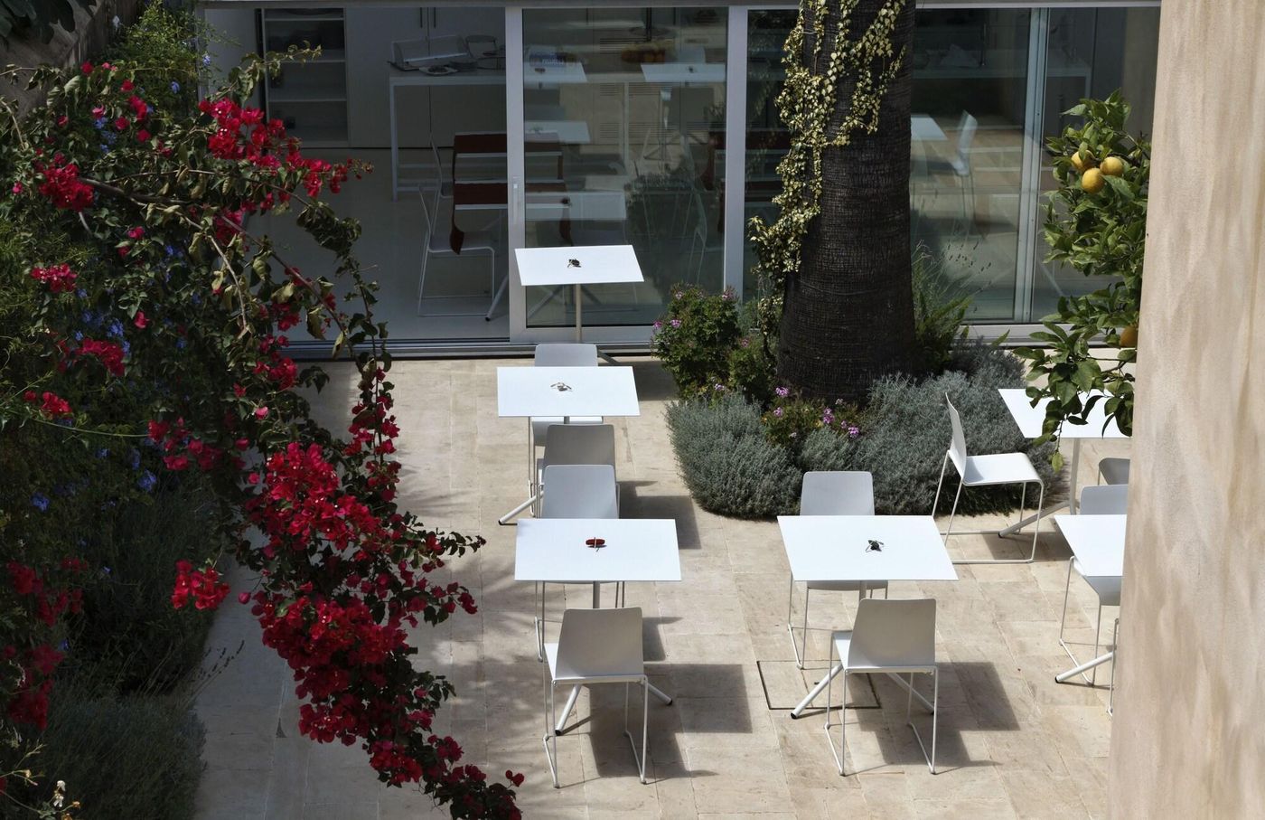 La-Moresca-Restaurant-7