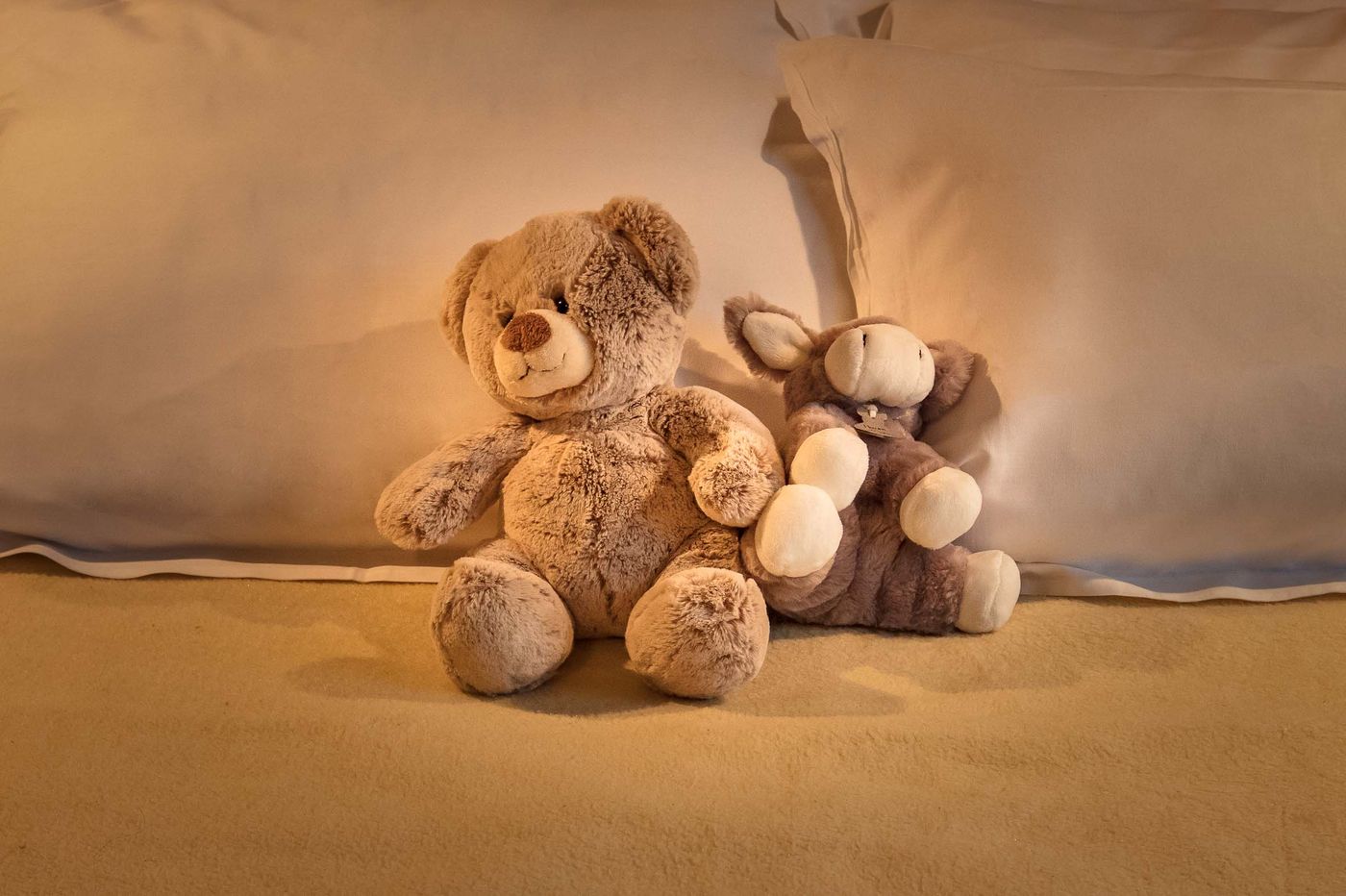 Hotel-Montbriand---Ex-Alixia-Room-21