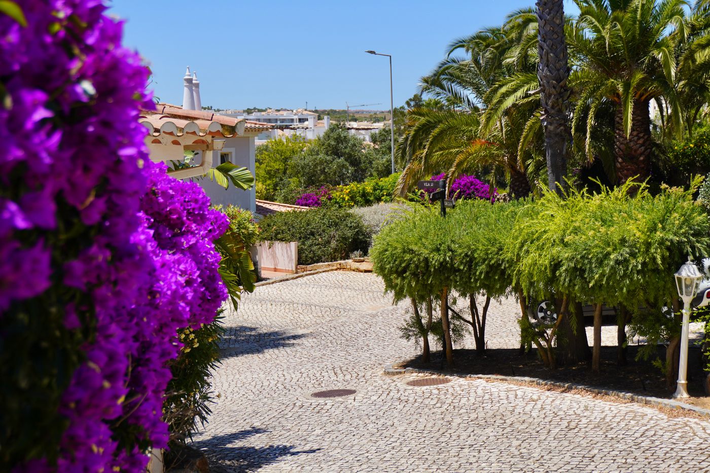 Clube-Porto-Mos-Room-14