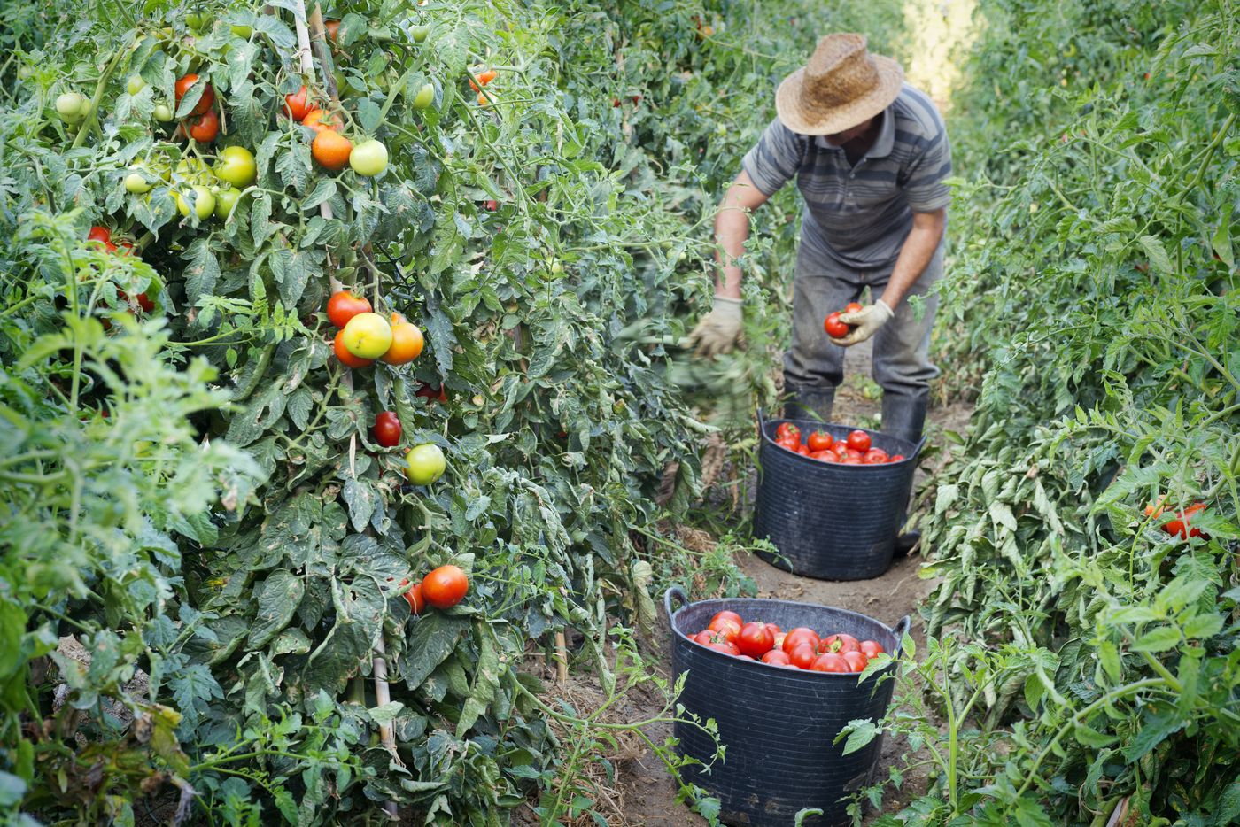 Merce-Hotel-Restaurant-13