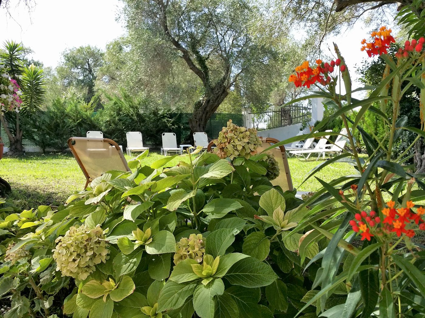 Marilena-Apartmets---Studios-General-view-19