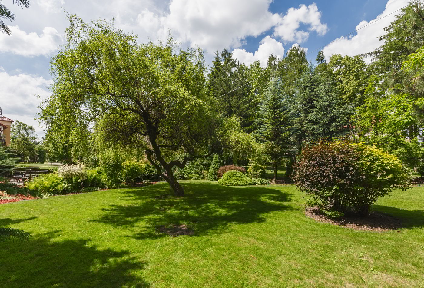 Domus-Mater-Terrace-57