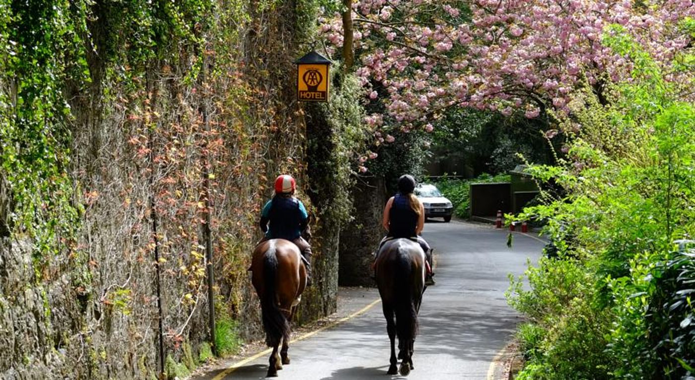 Chateau-La-Chaire-Sports-and-Entertainment-15