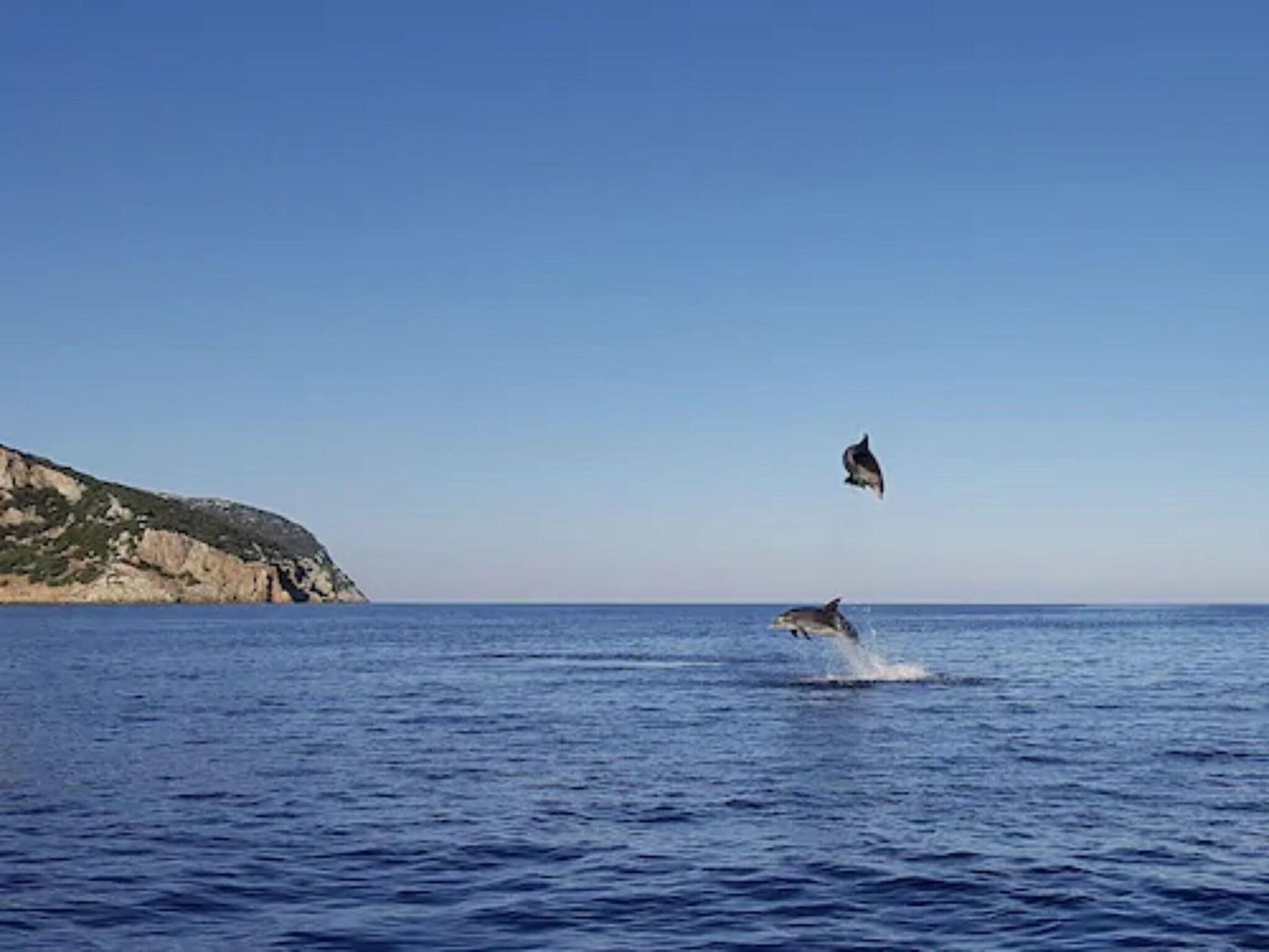 Gabbiano-Azzurro-General-view-76