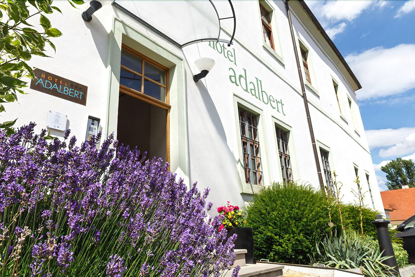 Adalbert-Brevnosky-Klaster-General-view-4