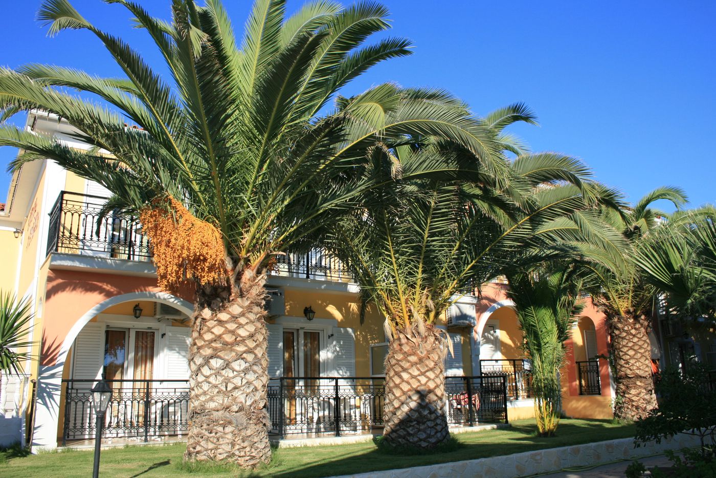 Metaxa-General-view-9