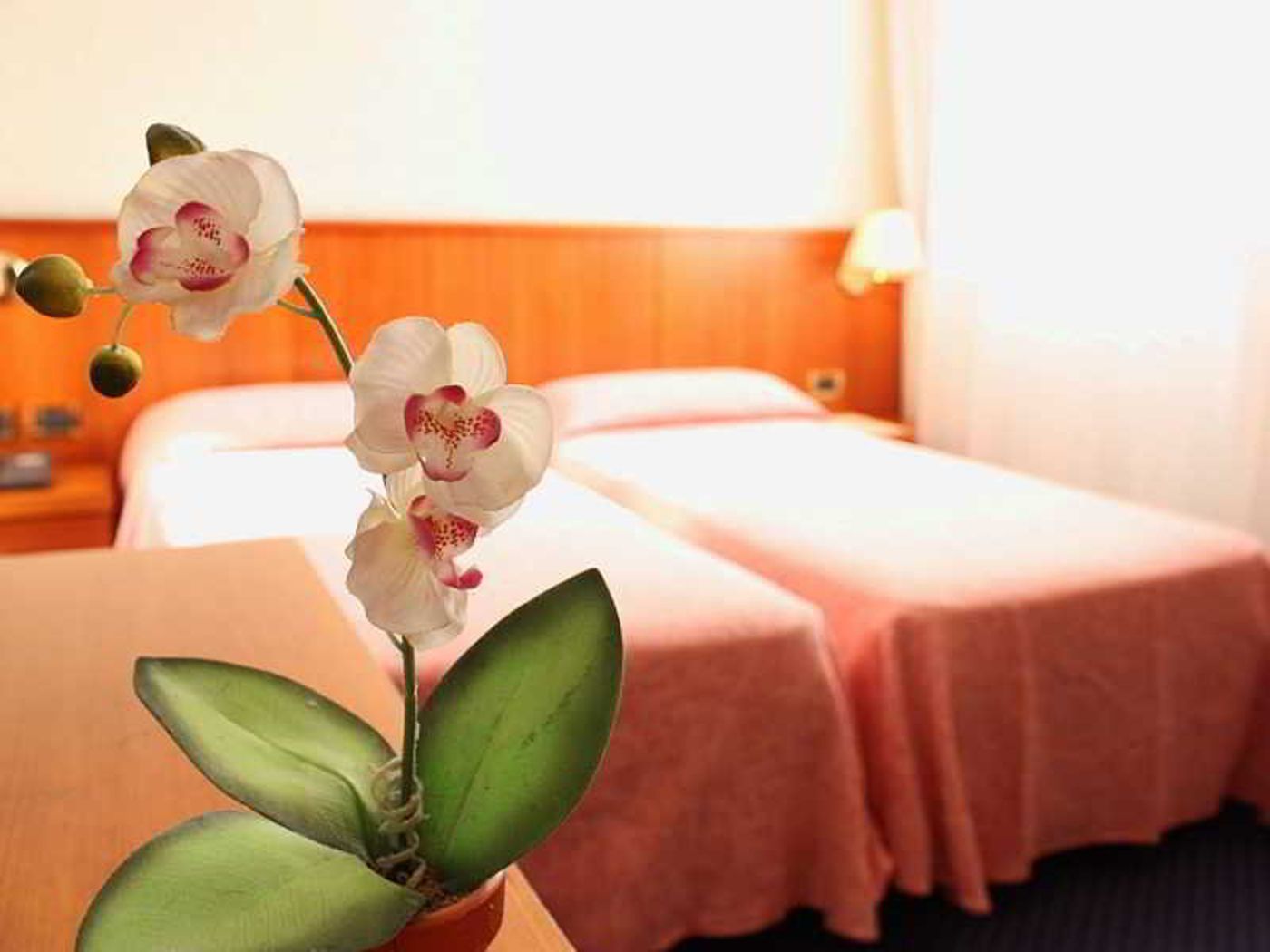 Hotel Kappa-Italy-Venezia-General view-5