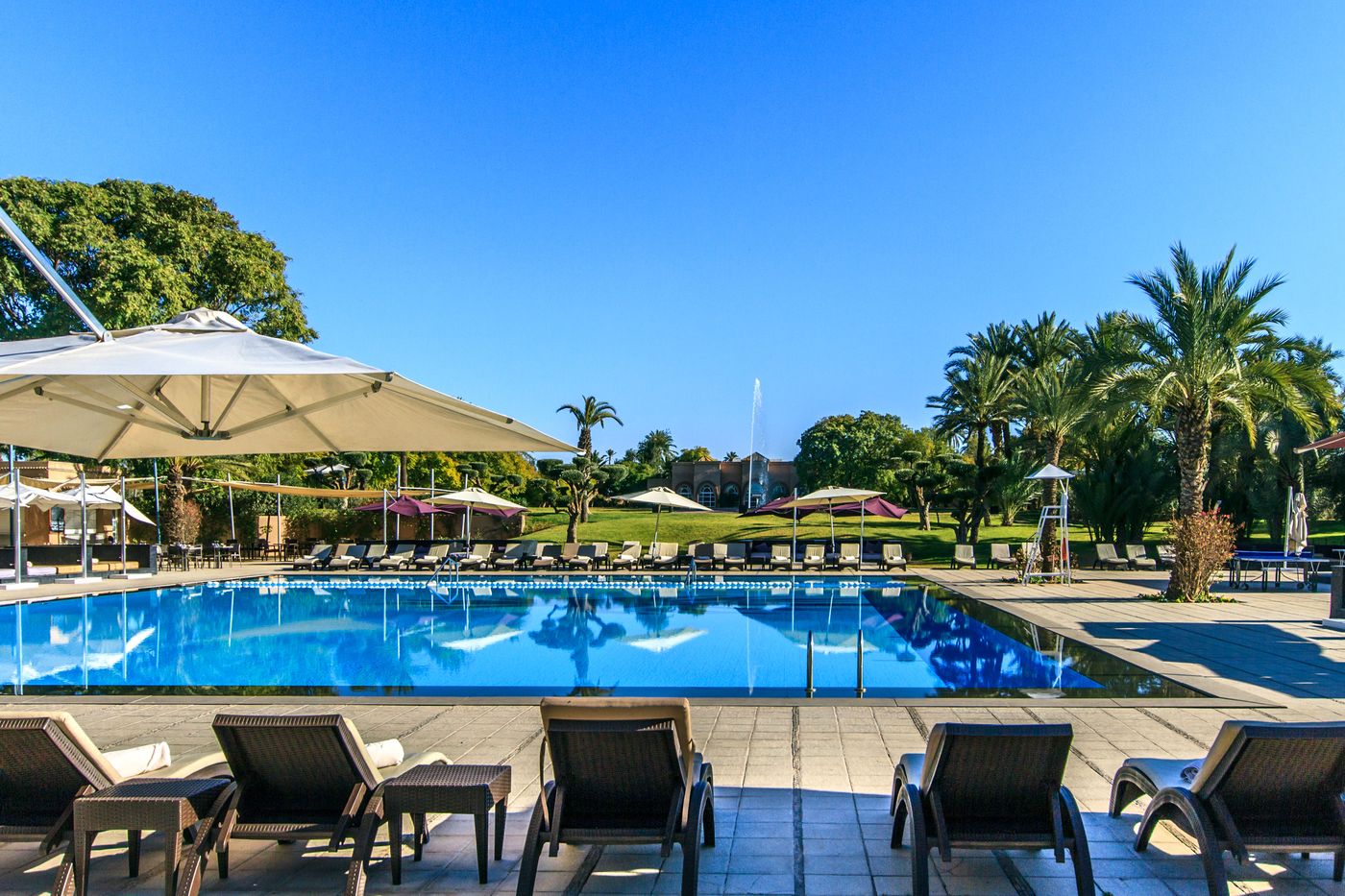 Barcelo-Palmeraie-Pool-2