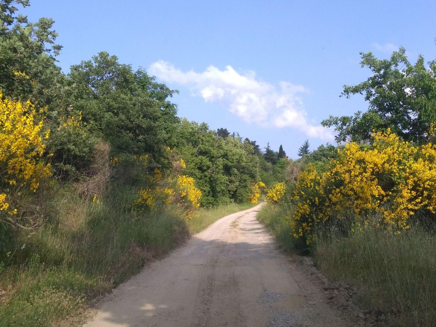 Bed-And-Breakfast-Country-Hill-General-view-2