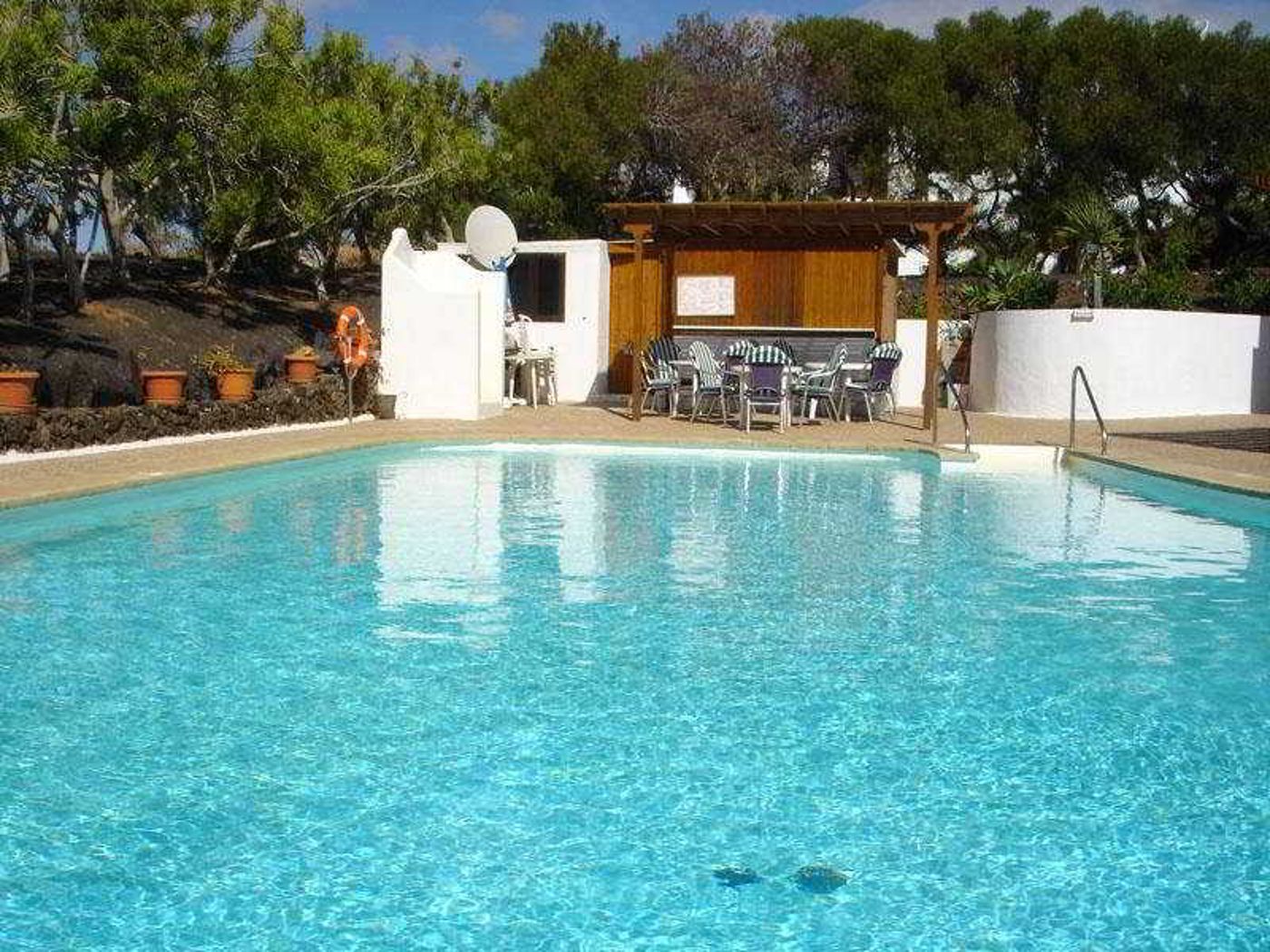 Camel-Spring-Pool-19