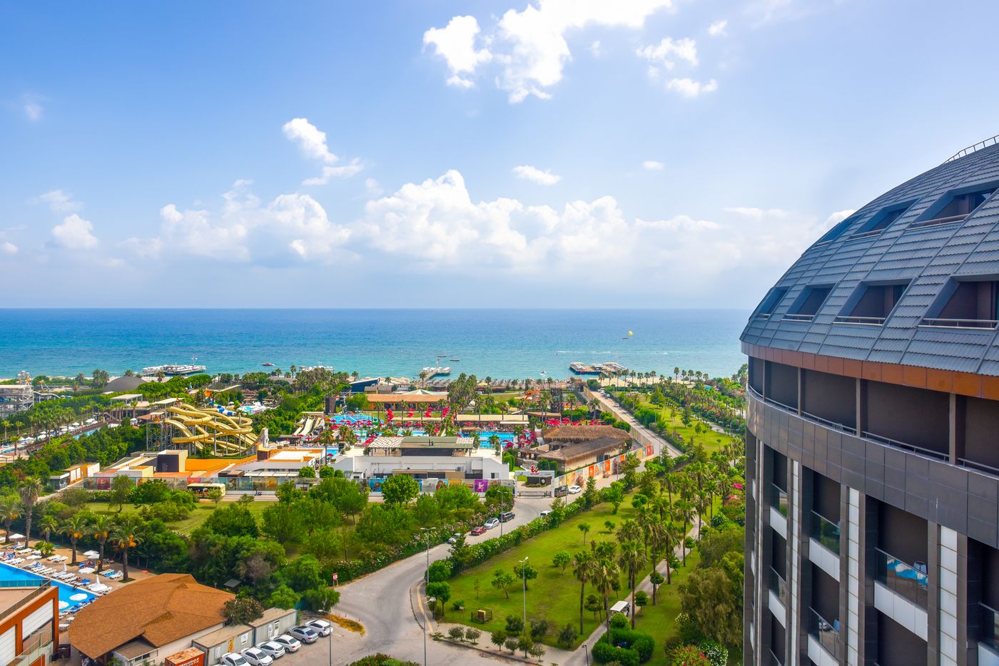 Royal Seginus (31).jpg