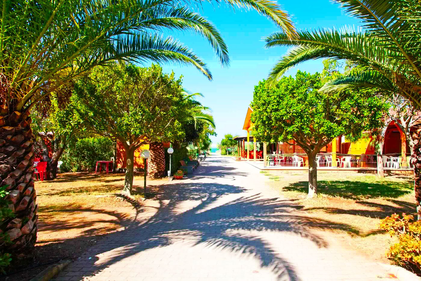 Suite Hotel Dominicus-Italy-GRISOLA LIDO-Lobby-2
