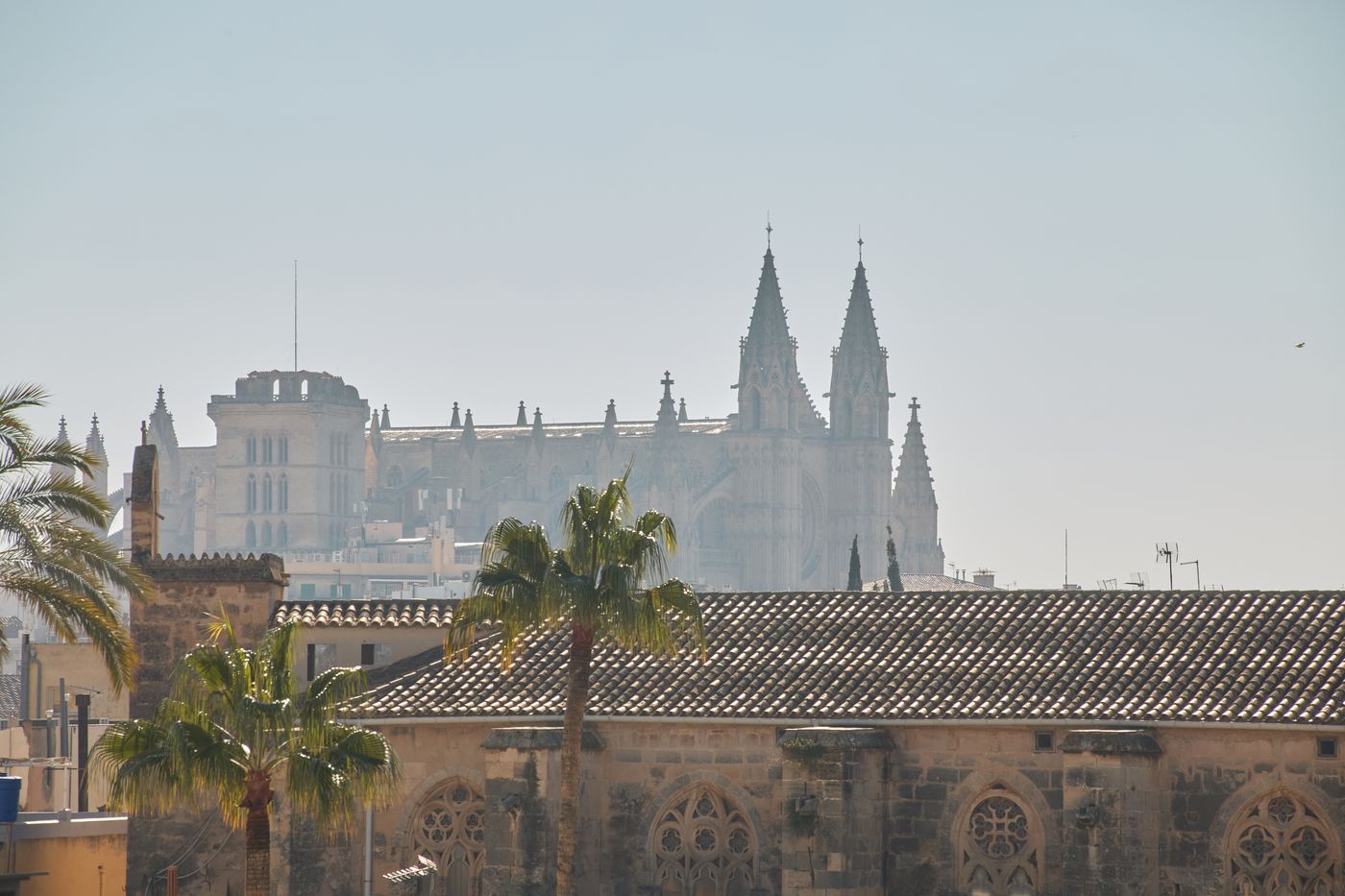 Sant Jaume Design Hotel - Spain - Palma de Mallorca - General view - 2