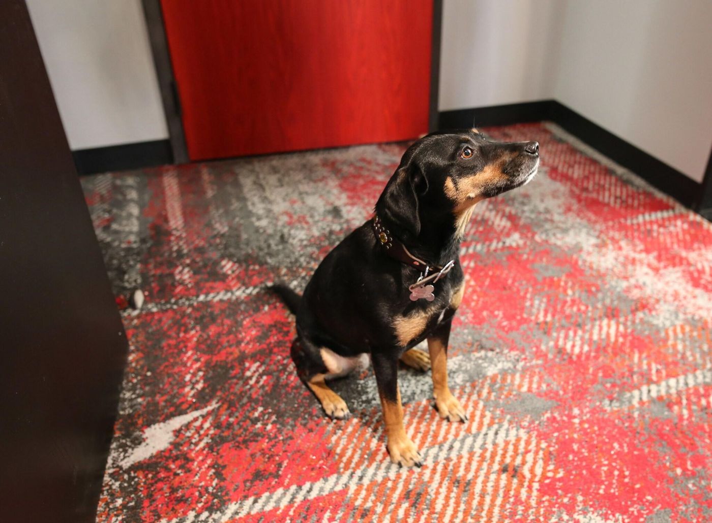 Bobby Hotel-United States-Tennessee-General view-4