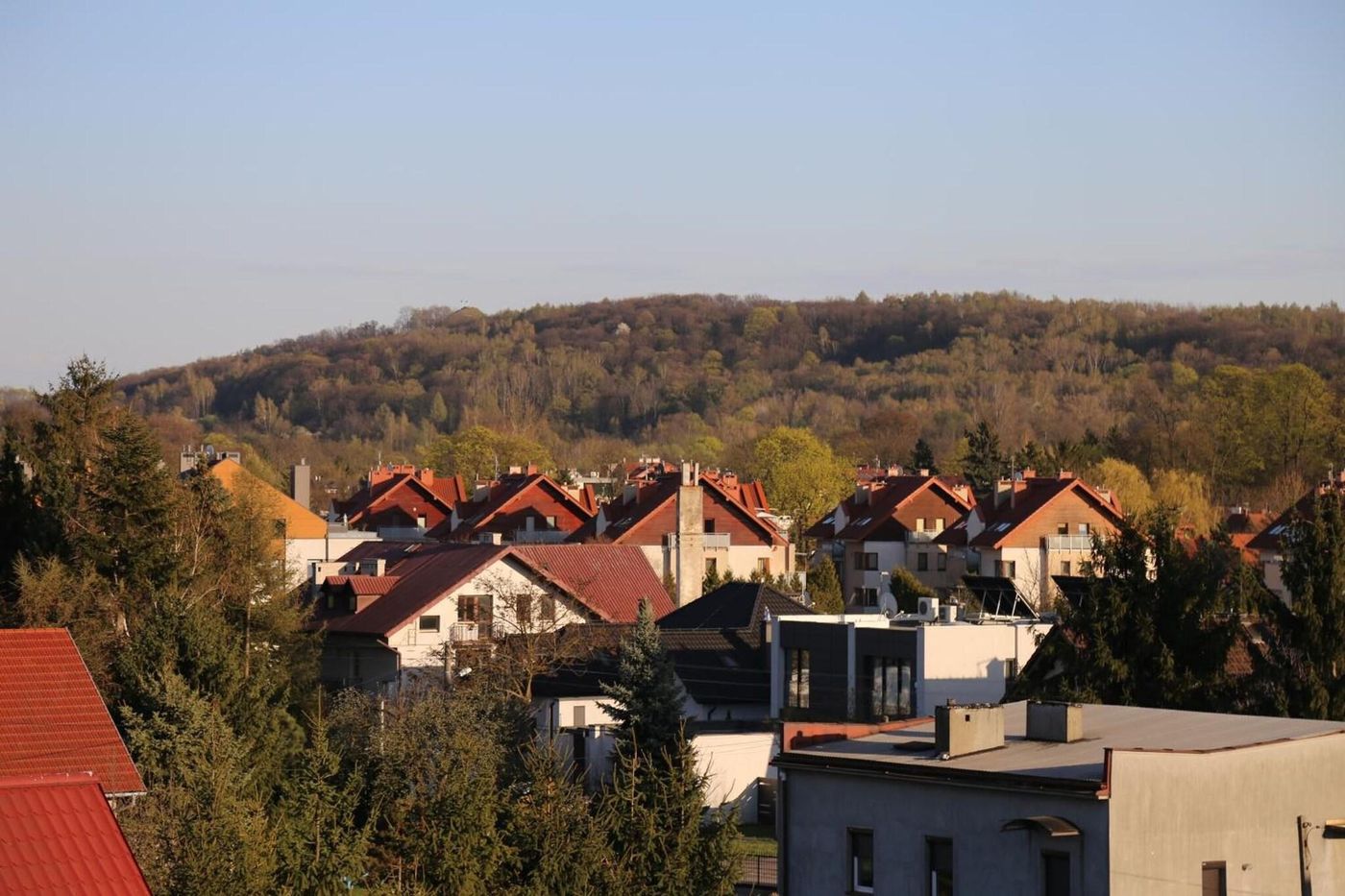 Daisy-Superior-General-view-1