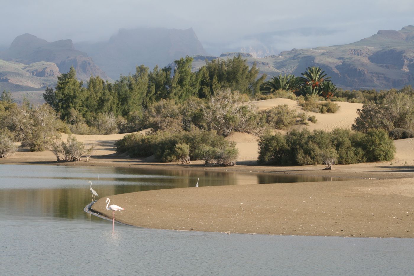 El-Capricho-General-view-22