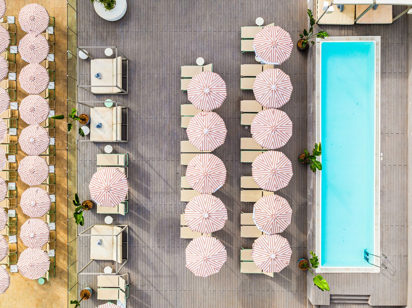 Sol House The Studio