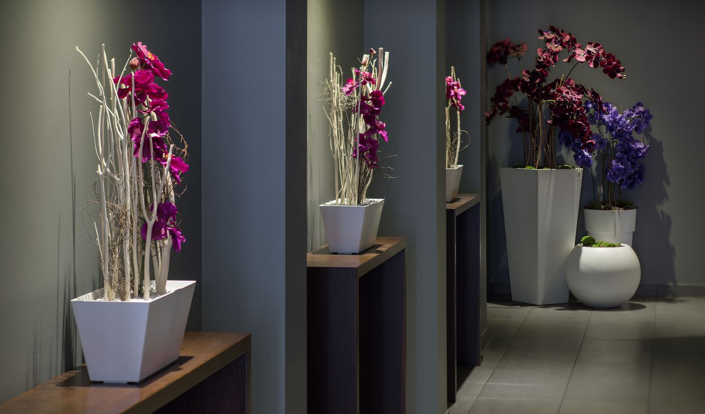 Dodo - Latvia - RIGA - Lobby - 2