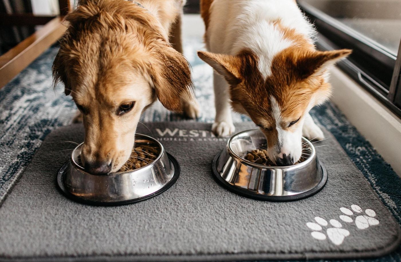 Westin-Bayshore-Vancouver-Room-24