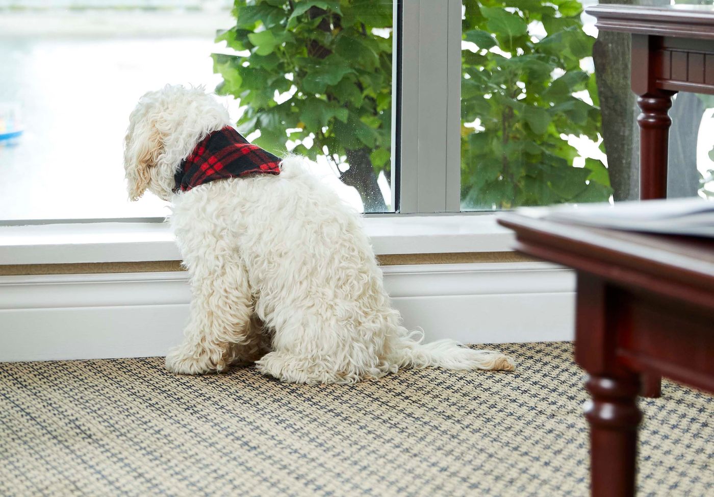 Granville-Island-Hotel-Room-5