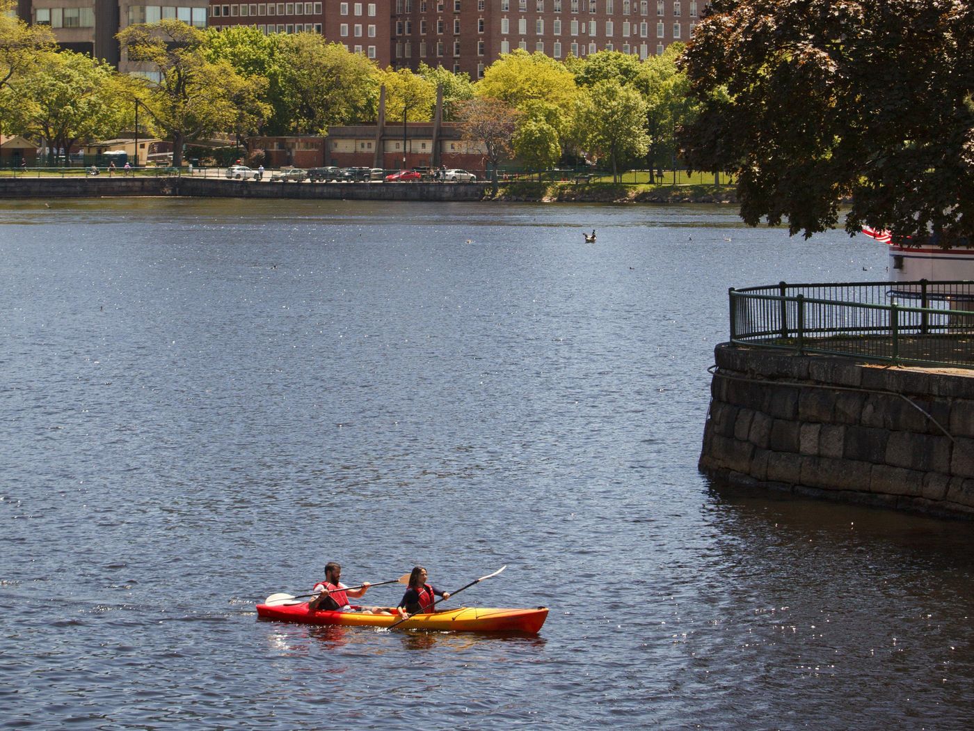 Kimpton-Marlowe-Hotel-General-view-72