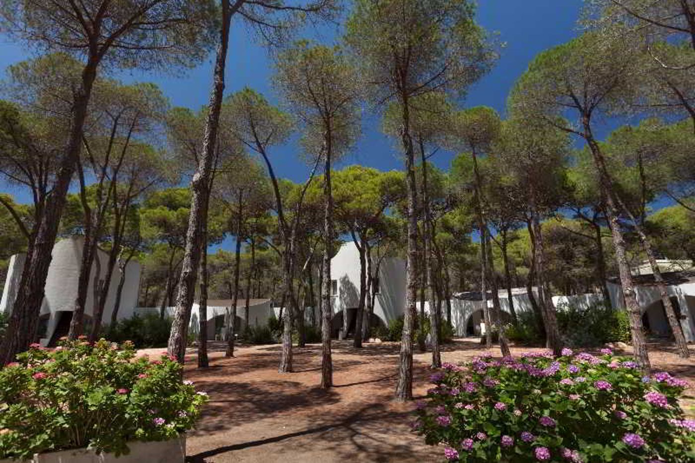 Hotel-Mare-Pineta-General-view-5