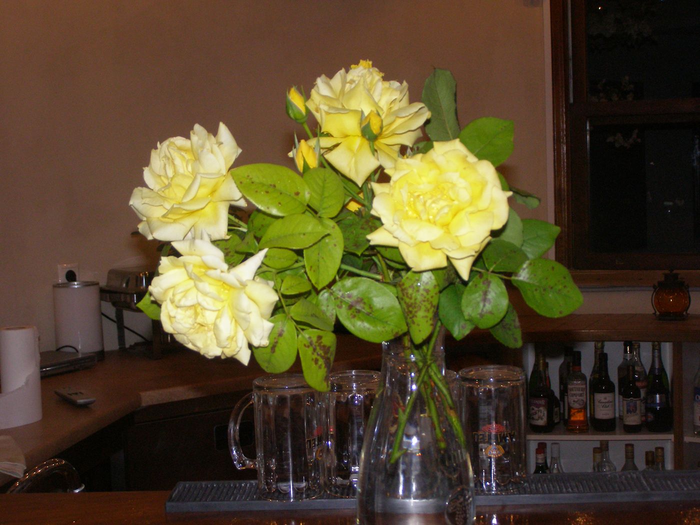 Anastasia-Village-Bar-52