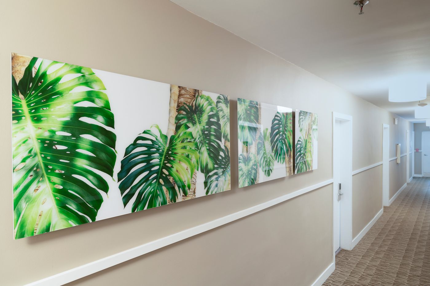 President South Beach - United States - MIAMI BEACH - General view - 6