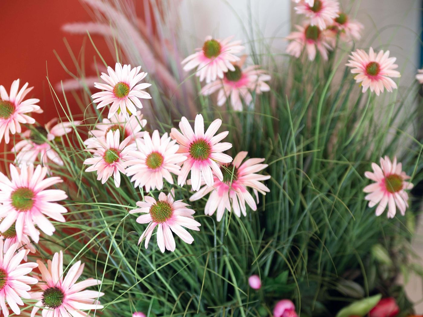 ibis-Styles-Paris-Batignolles-General-view-26