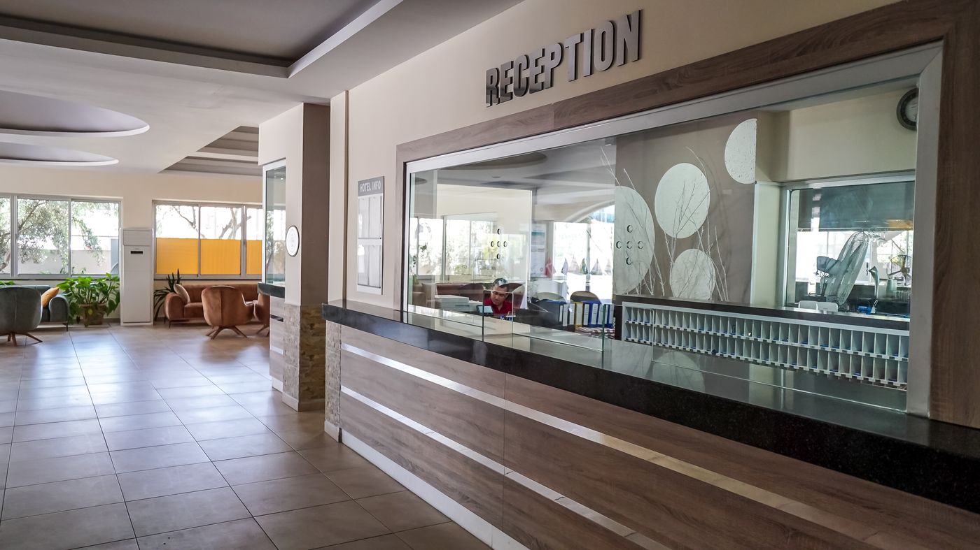 Catty Cats Garden Hotel