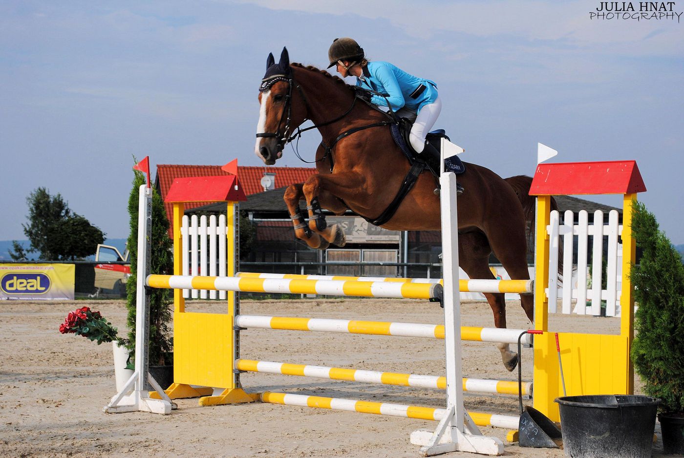 Szary-Residence-Sports-and-Entertainment-23