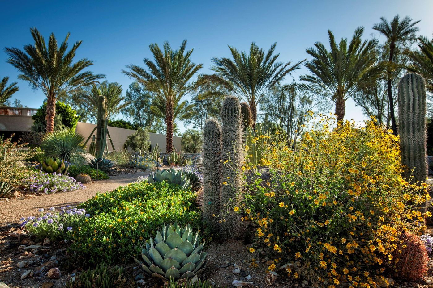 The Scottsdale Resort & Spa, Curio Collection-United States-SCOTTSDALE-General view-6