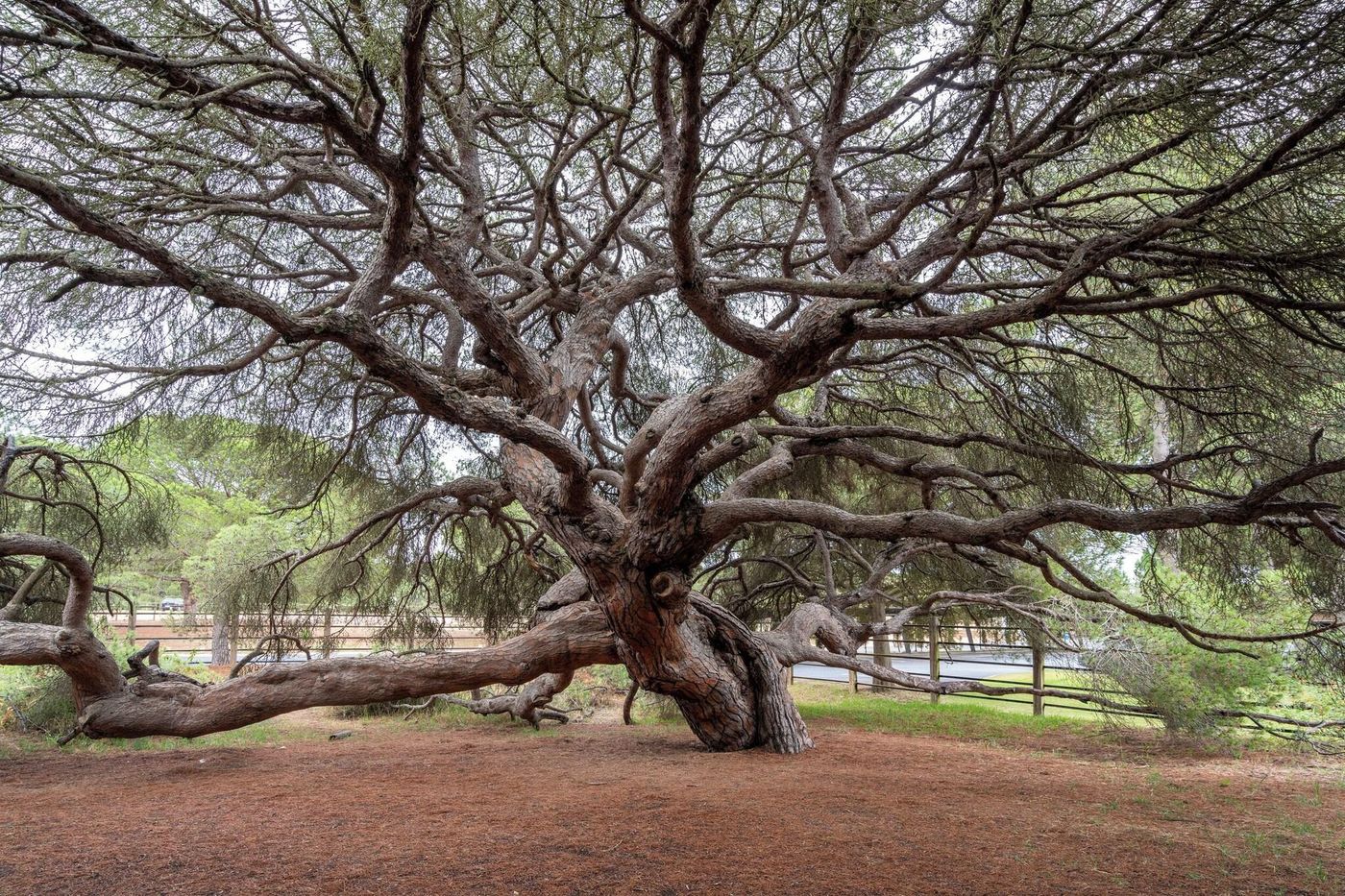 Parador-de-Mazagon-Sports-and-Entertainment-68